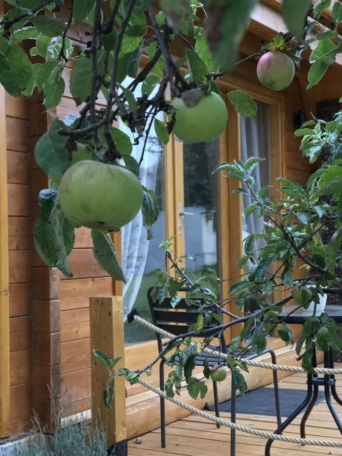 Apple House Βίλα Τσέτινιε Εξωτερικό φωτογραφία