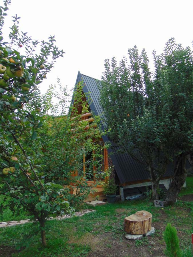 Apple House Βίλα Τσέτινιε Εξωτερικό φωτογραφία