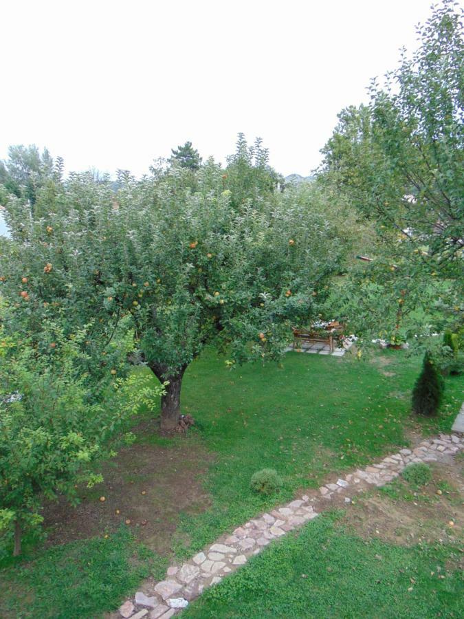 Apple House Βίλα Τσέτινιε Εξωτερικό φωτογραφία