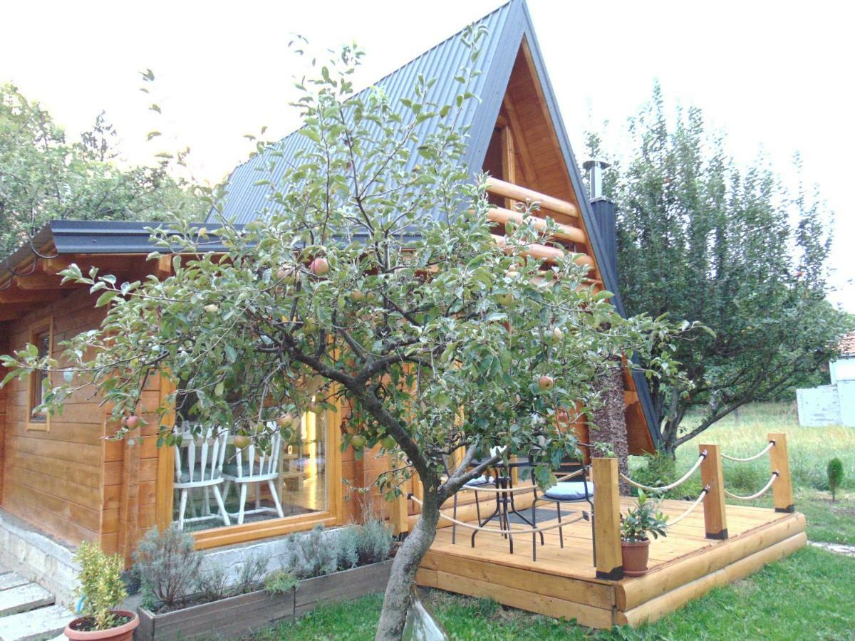 Apple House Βίλα Τσέτινιε Εξωτερικό φωτογραφία